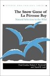 The Snow Geese of La Pérouse Bay