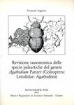 Revisione Tassonomica delle Specie Paleartiche del Genere Agathidium Panzer (Coleoptera: Leiodidae: Agathidiini) [Taxonomic Revision of the Palaearctic Species of the Genus Agathidium Panzer (Coleoptera: Leiodidae: Agathidiini)]