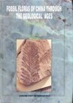Fossil Floras of China Through the Geological Ages