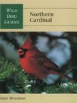 Northern Cardinal
