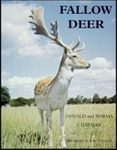 Fallow Deer