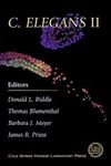 C. Elegans II
