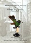 The Hummingbird Collection in the 'Collegio San Giuseppe' (Torino, Italy)