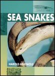 Sea Snakes