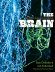 The Brain Big Bangs Behaviors And Beliefs Rob Desalle