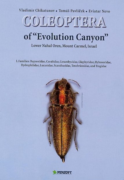 Coleoptera of "Evolution Canyon", Lower Nahal Oren, Mount Carmel, Israel