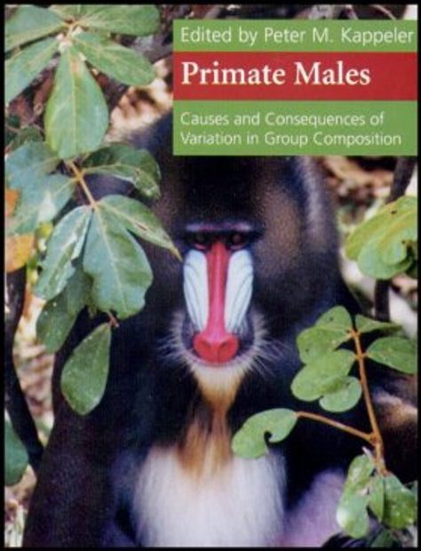 Primate Males