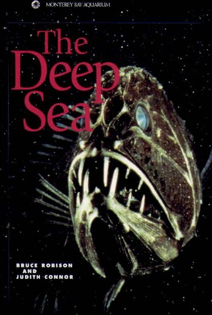 The Deep Sea | NHBS Academic & Professional Books