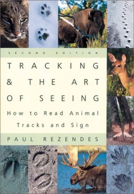 Tracking and the Art of Seeing