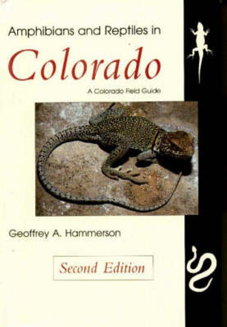 Amphibians and Reptiles in Colorado | NHBS Field Guides & Natural History