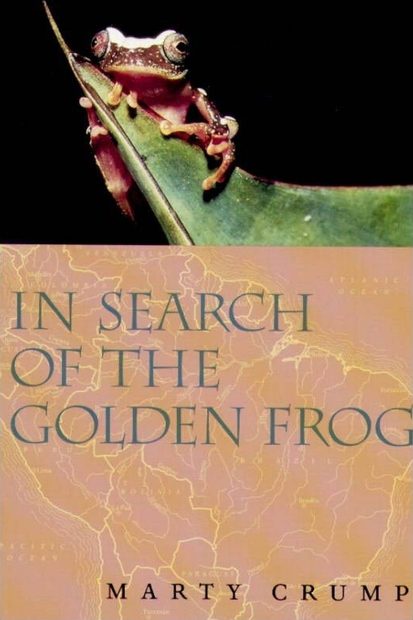 In Search of the Golden Frog