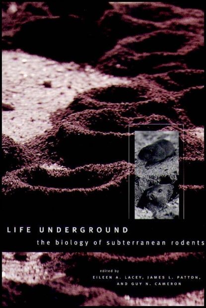 Life Underground