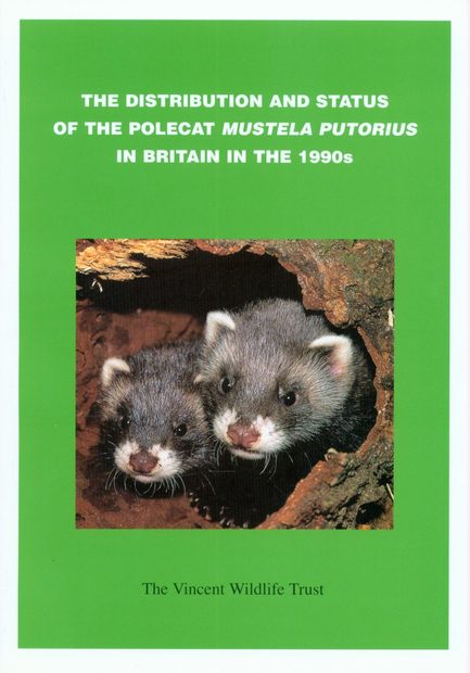 Distribution and Status of the Polecat (Mustela putorius) in Britain in the 1990s