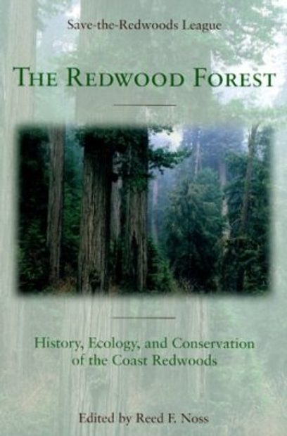 The Redwood Forest