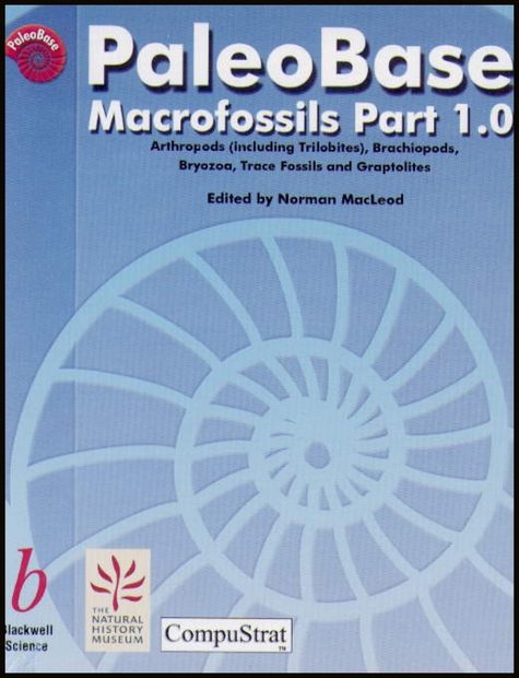 PaleoBase: Macrofossils Part 1.0