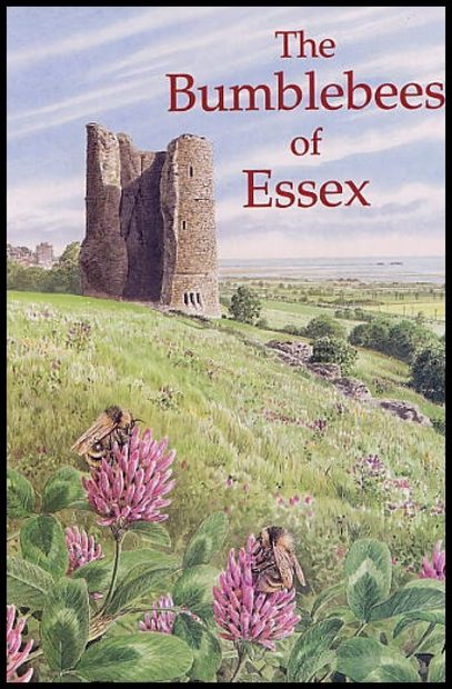 The Bumblebees of Essex