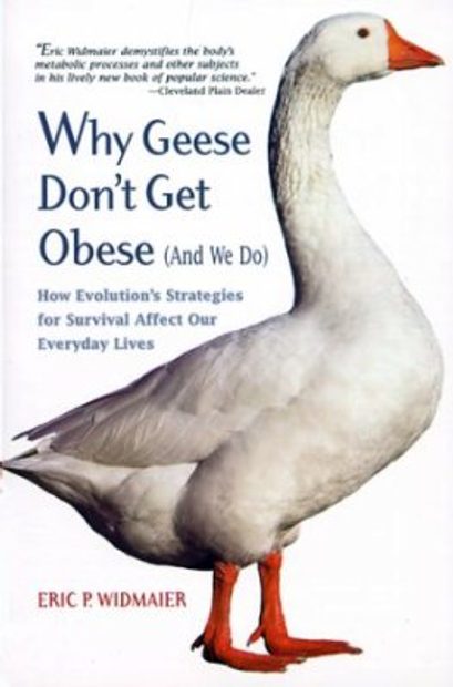 Why Geese Don't Get Obese (And We Do)