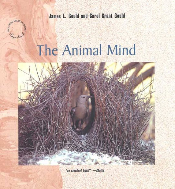 The Animal Mind