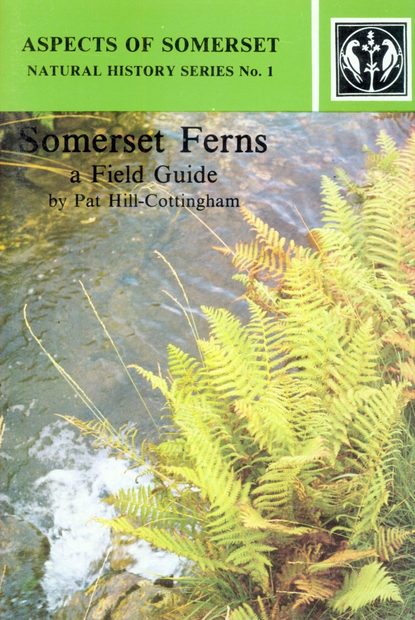 Somerset Ferns