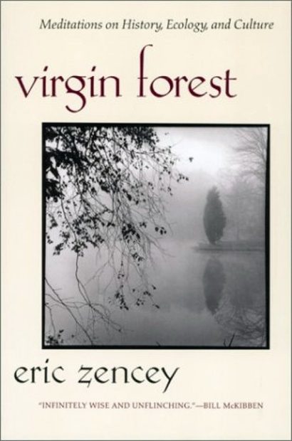 Virgin Forest