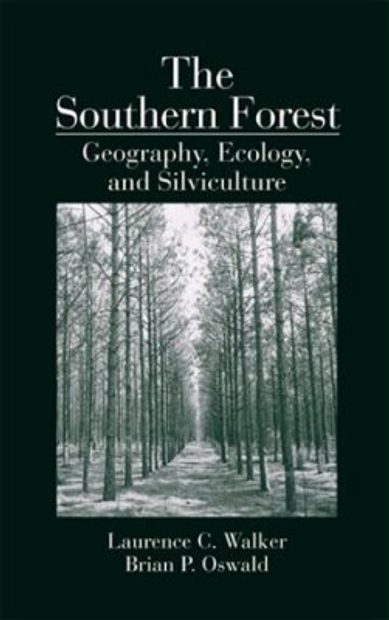 The Southern Forest