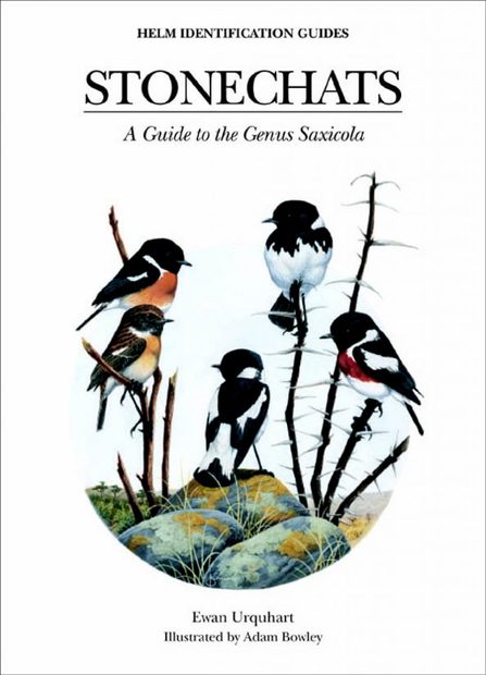 Stonechats
