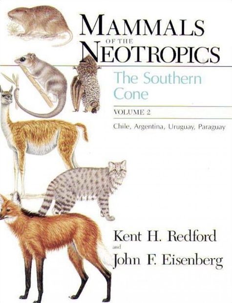 Mammals Of The Neotropics Volume 2 The Southern Cone Chile Argentina Uruguay And Paraguay Nhbs Academic Professional Books Mammals Of The Neotropics Volume 2 The Southern Cone Chile Argentina Uruguay And Paraguay Nhbs Academic Professional Books