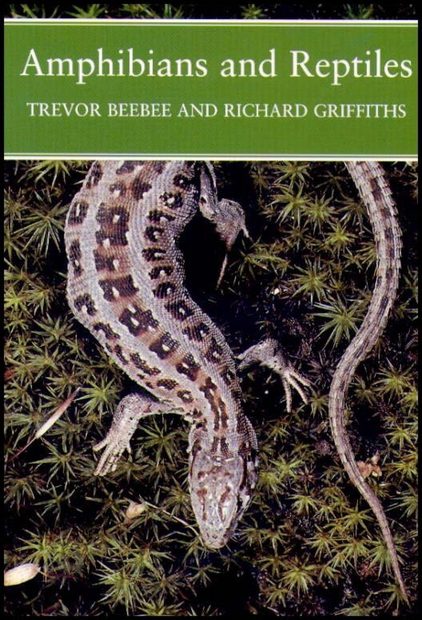 Amphibians and Reptiles