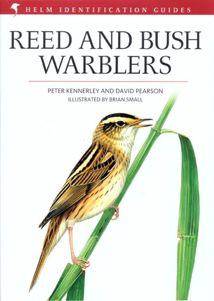 Reed and Bush Warblers