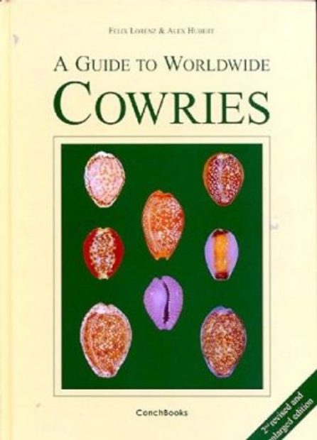 A Guide to Worldwide Cowries
