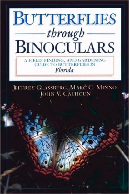 Butterflies Through Binoculars