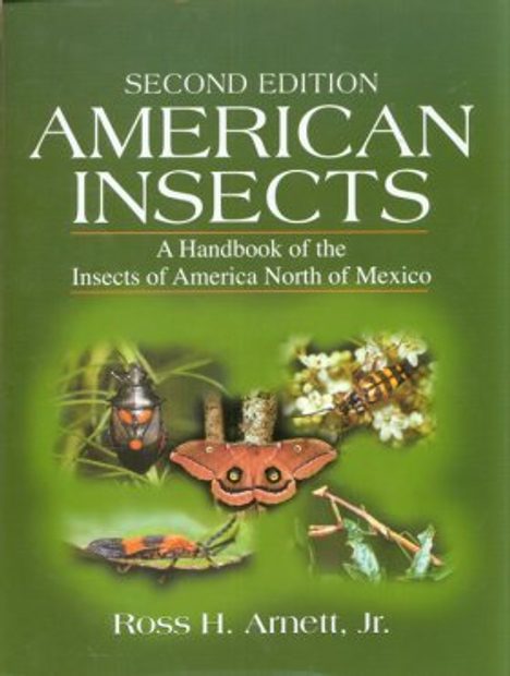 American Insects
