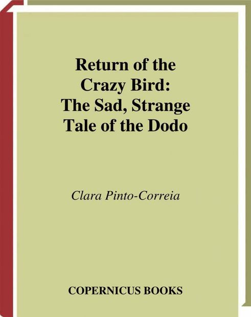 Return of the Crazy Bird