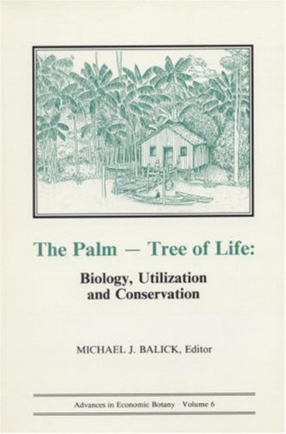 The Palm - Tree of Life
