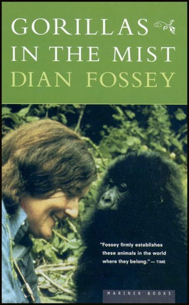 Gorillas in the Mist