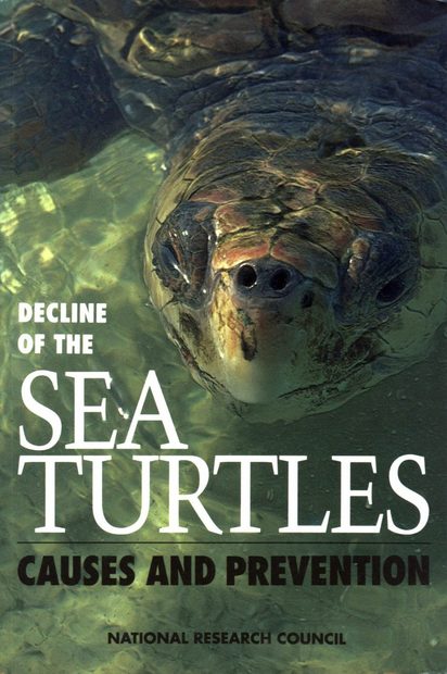 Decline of the Sea Turtles