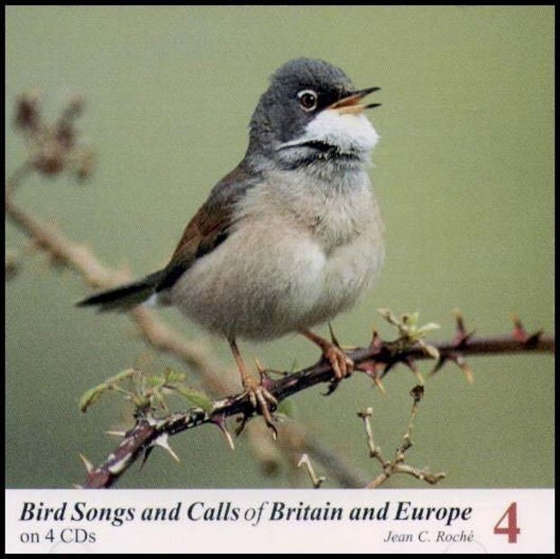 Bird Songs and Calls of Britain and Europe, Volume 4: Sylvia Warblers to Buntings