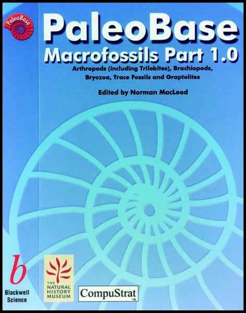 PaleoBase: Macrofossils Part 2