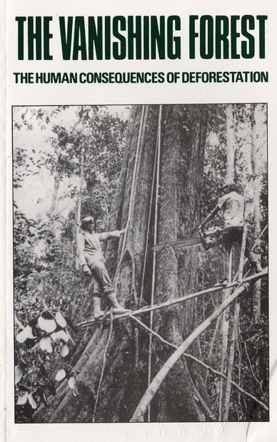 The Vanishing Forest