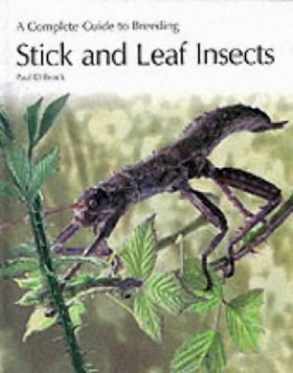A Complete Guide to Breeding Stick and Leaf Insects | NHBS Academic ...