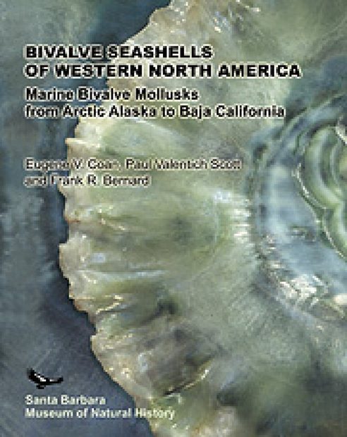 Bivalve Seashells of Western North America