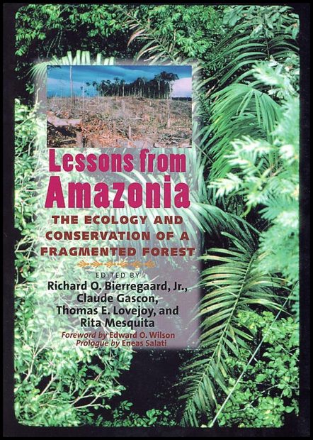 Lessons from Amazonia