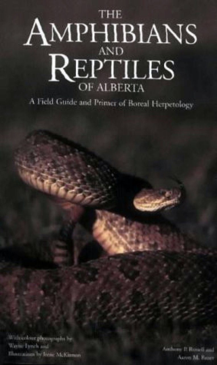 The Amphibians And Reptiles Of Alberta A Field Guide And