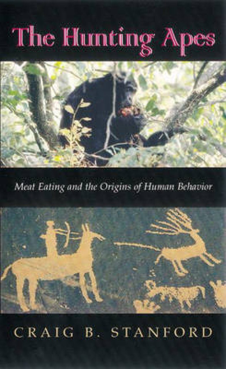 The Hunting Apes Meat Eating and the Origins of Human Behaviour NHBS