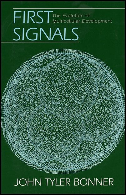 First Signals