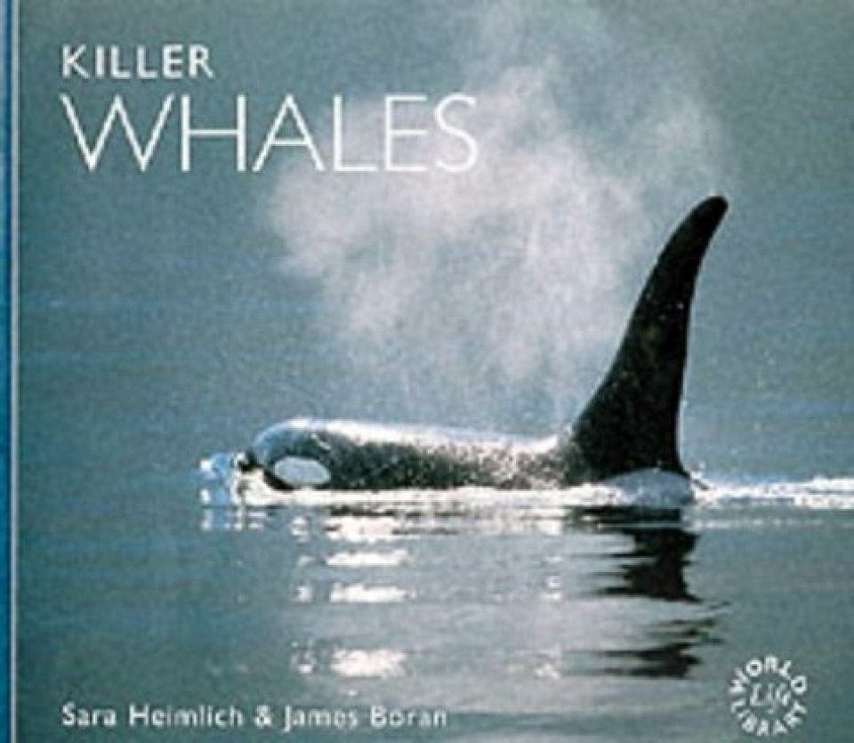 Killer Whales Nhbs Academic Amp Professional Books