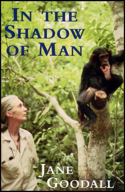 In the Shadow of Man