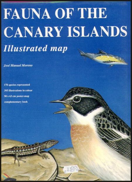 Fauna of the Canary Islands