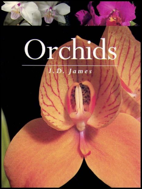 Orchids