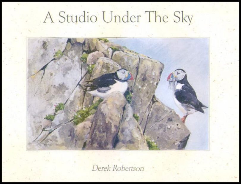 A Studio Under the Sky